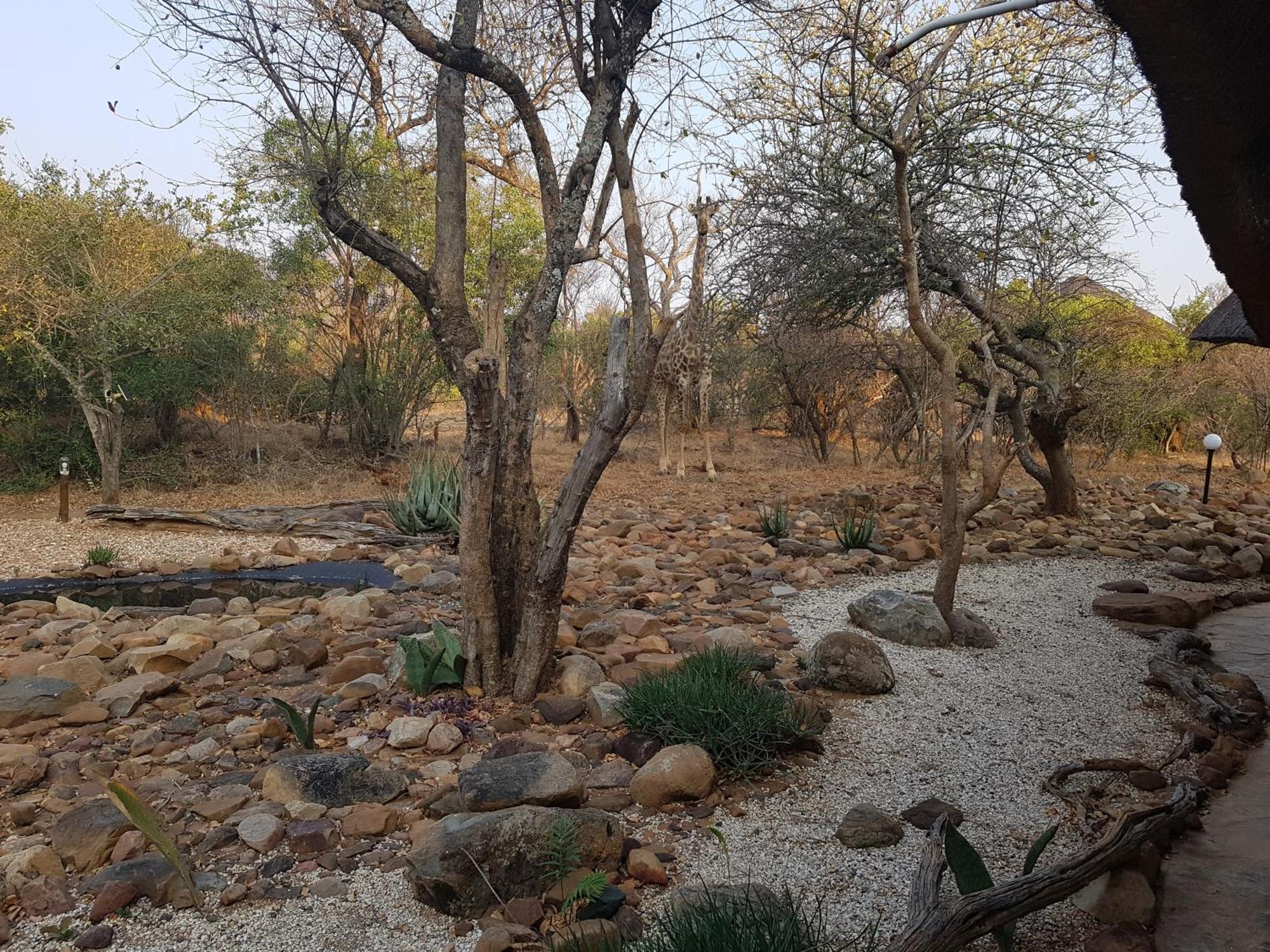 Bona Intaba Game Lodge Hoedspruit Luaran gambar